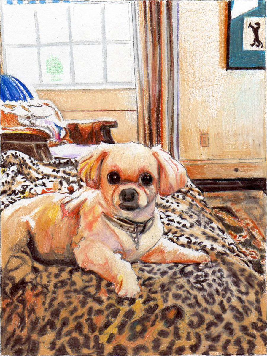 Colored Pencil Pet Portrait