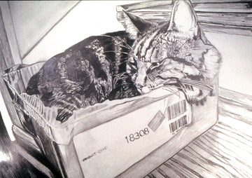 Pencil Pet Portrait