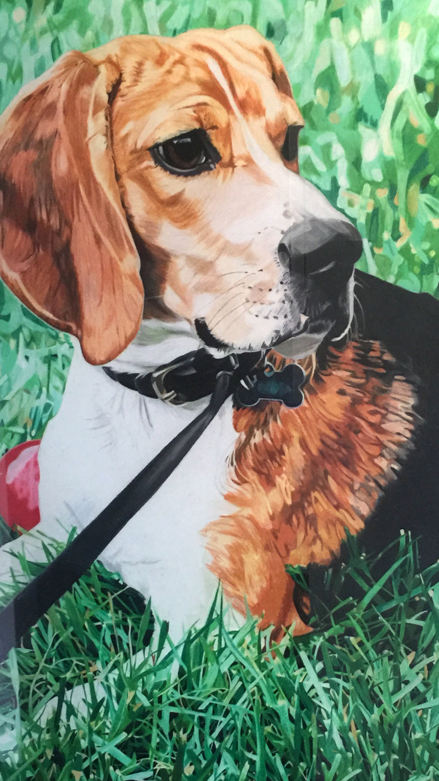 Colored Pencil Pet Portrait