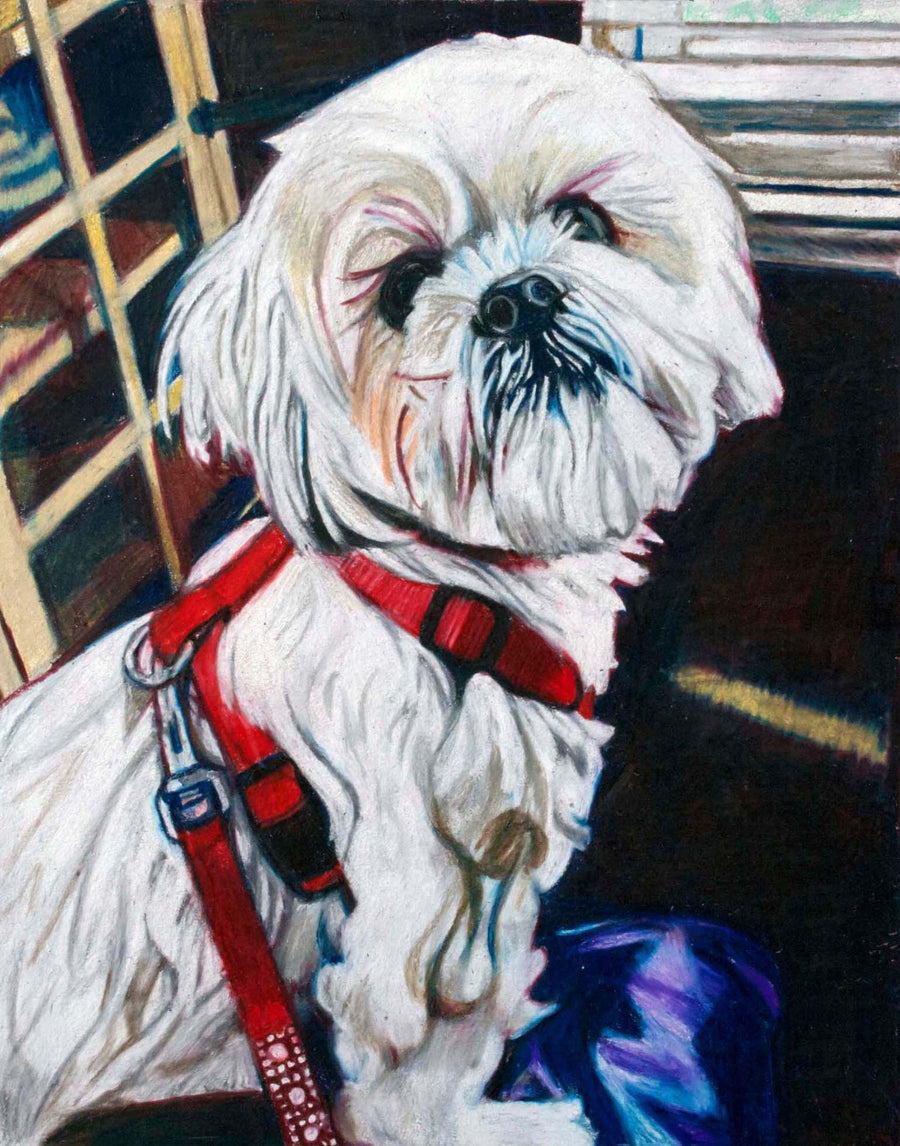 Colored Pencil Pet Portrait